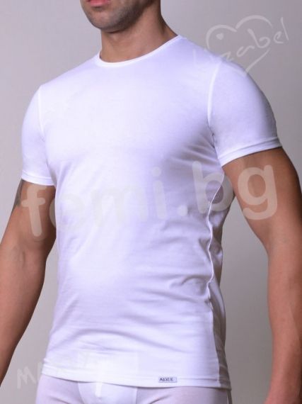 6581 Мъжка тениска Maxly фин памук