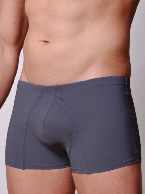 6466 Boxer grey