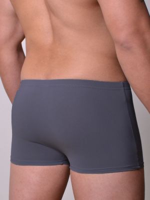 6466 Boxer grey