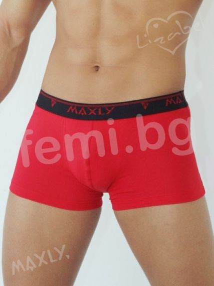 Male Boxer Maxly 5667