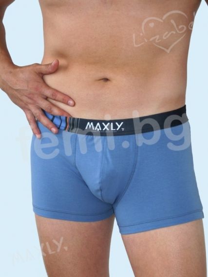 Male Boxer Maxly 5866