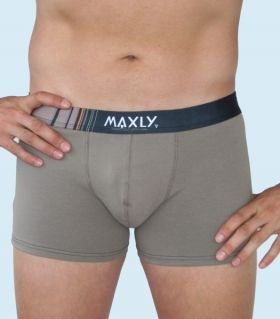 Male Boxer Maxly 5866